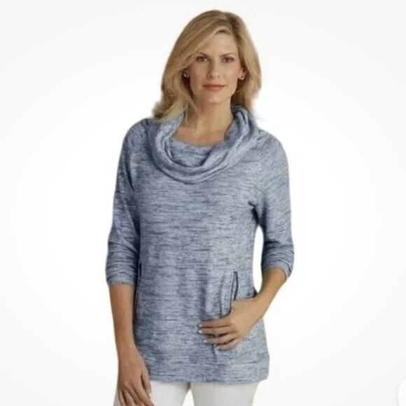 Soft Surroundings Cloud 9 Cowl Neck Tunic Sweater Gray Size SP - Picture 1 of 8